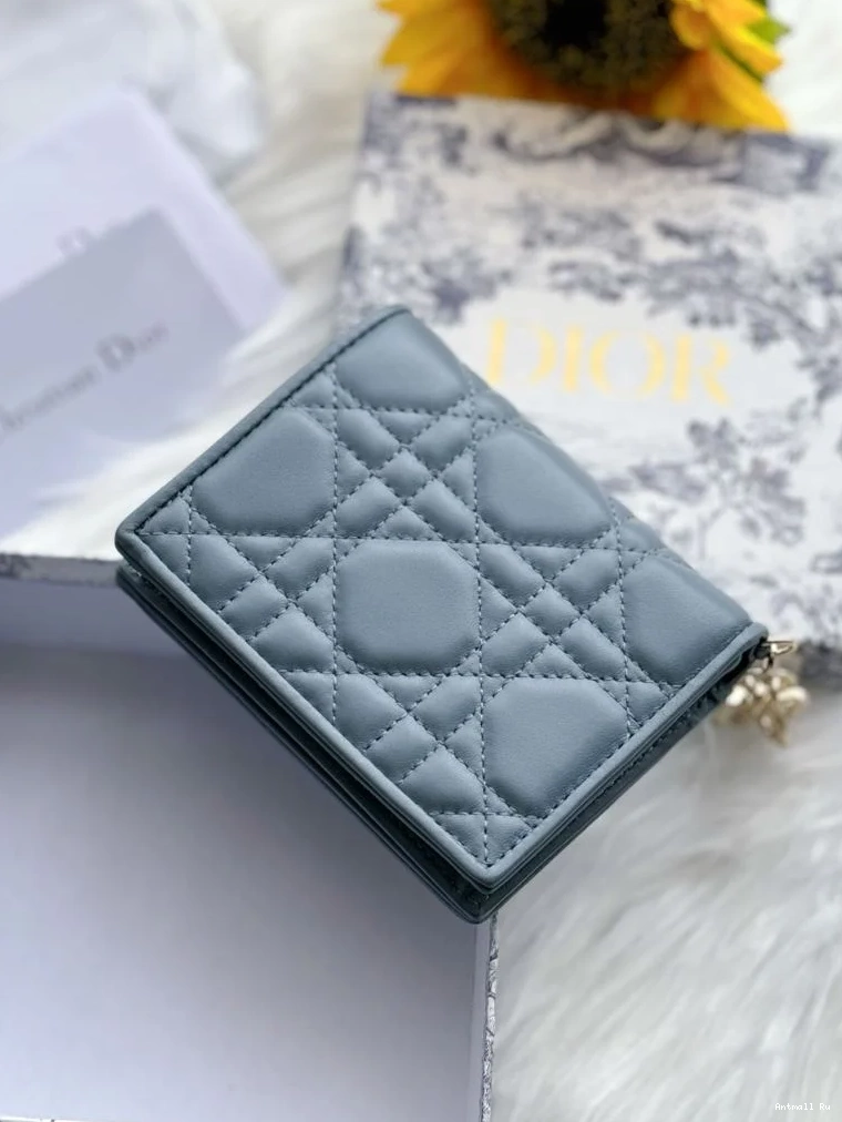 Dior Purse Wallets 46710 WeatherProof Christian 0725